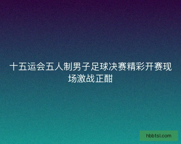 十五运会五人制男子足球决赛精彩开赛现场激战正酣