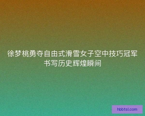 徐梦桃勇夺自由式滑雪女子空中技巧冠军书写历史辉煌瞬间